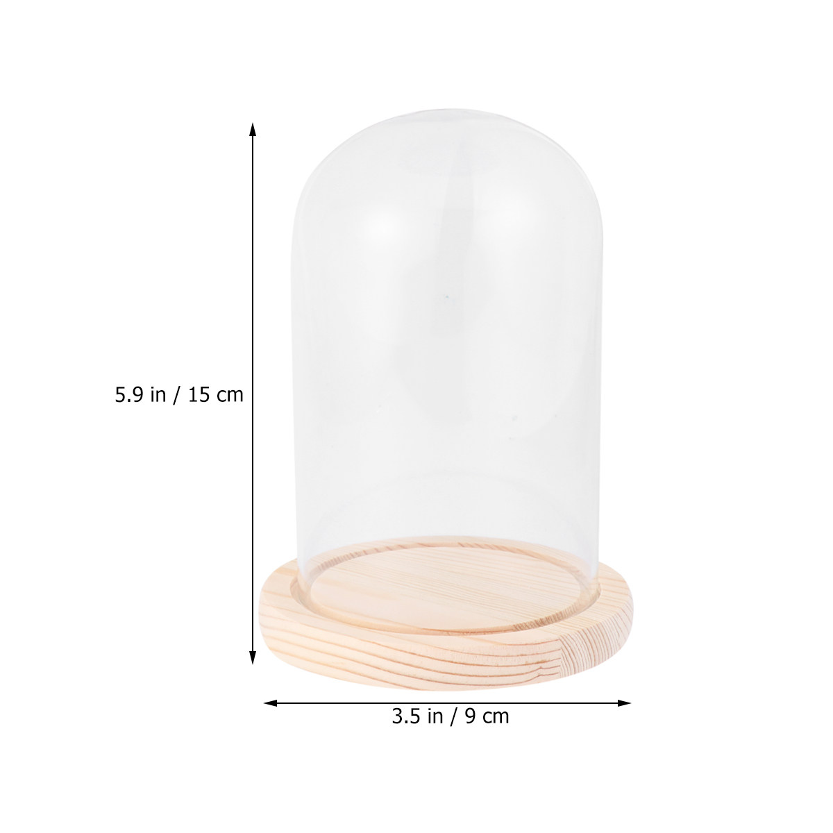 Элегантный стеклянный купол ра – обзор и цена Plastic Dome Clear