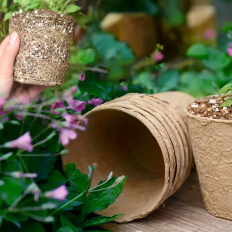 50 шт. Круглые торфяные горшки – обзор и цена Peat Pellet Tray