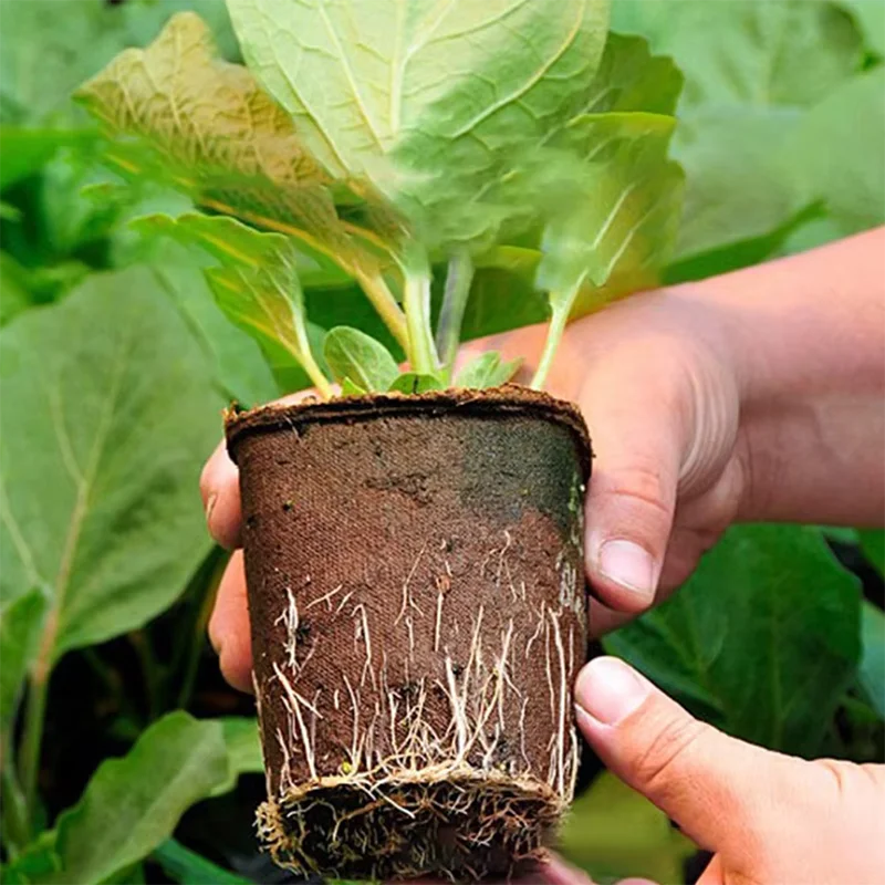 50 шт. Круглые торфяные горшки – обзор и цена Peat Pellet Tray